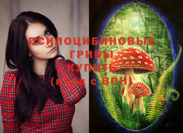 соль ск Гусь-Хрустальный
