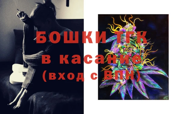 соль ск Гусь-Хрустальный