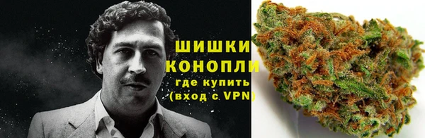 соль ск Гусь-Хрустальный