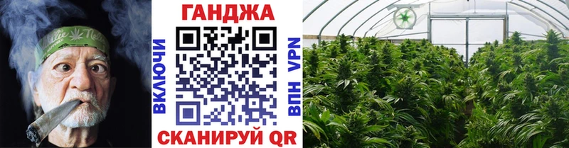 Канабис планчик  цена   дарк нет официальный сайт  Чехов 